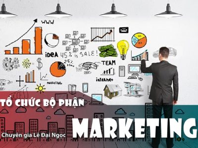 Tổ Chức Hoạt Động Bộ Phận Marketing Trong Doanh Nghiệp 